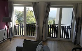 Wrzos Karkonoszy